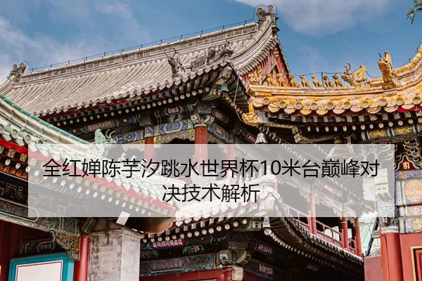 全红婵陈芋汐跳水世界杯10米台巅峰对决技术解析