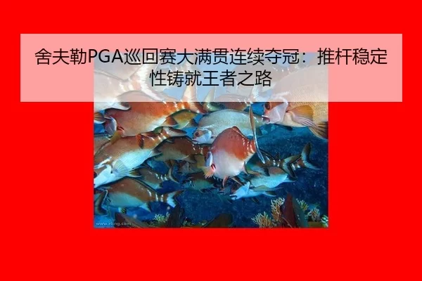 she-fu-lei-xun-hui-sai-da-man-guan-lian-xu-duo-guan-tui-gan-wen-ding-xing-zhu-jiu-wang-zhe-zhi-lu-2-879.jpg