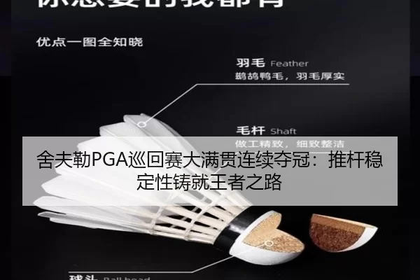 she-fu-lei-xun-hui-sai-da-man-guan-lian-xu-duo-guan-tui-gan-wen-ding-xing-zhu-jiu-wang-zhe-zhi-lu-3-388.jpg