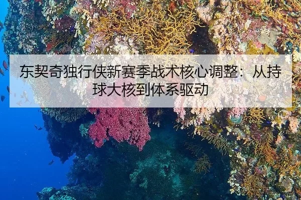 dong-qi-qi-du-xing-xia-xin-sai-ji-zhan-shu-he-xin-tiao-zheng-cong-chi-qiu-da-he-dao-ti-xi-qu-dong-1-414.jpg
