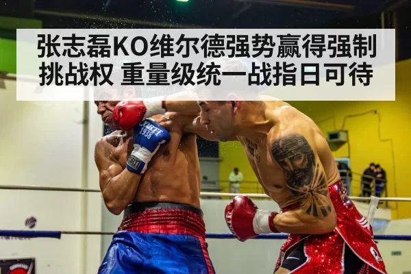 张志磊KO维尔德强势赢得强制挑战权 重量级统一战指日可待