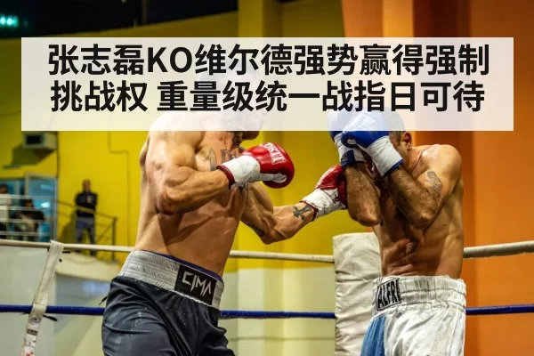 heavyweight boxing match